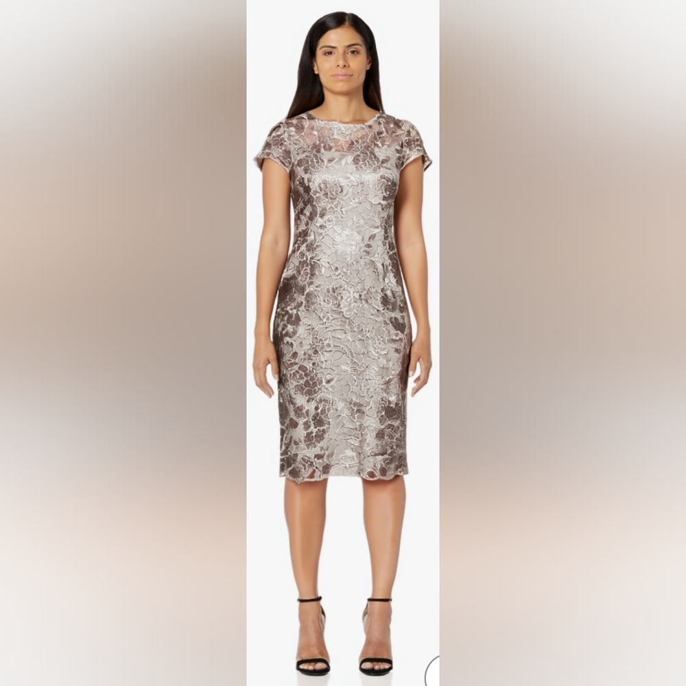 Alex Evenings dress sizes 10,14
